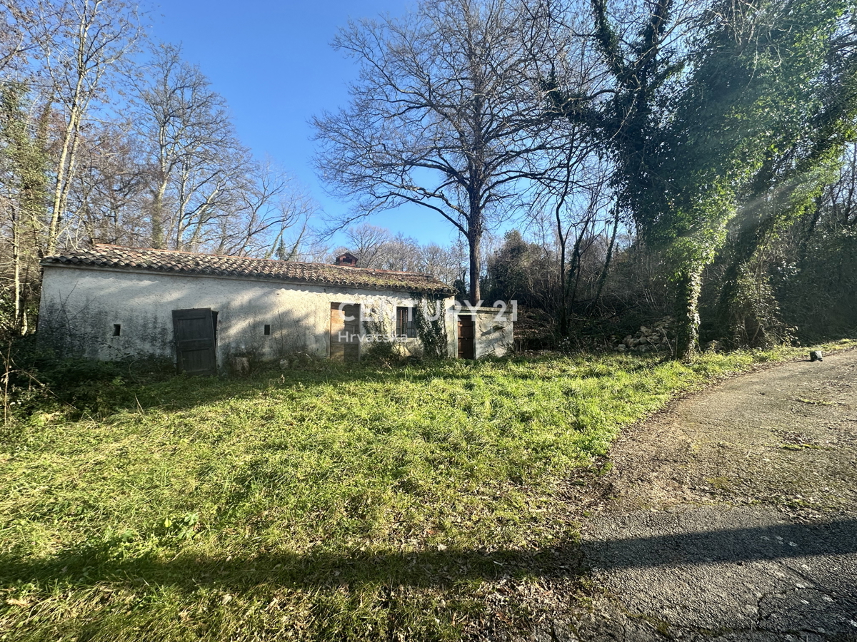 LABIN, PERIFERIA, CASA IN PIETRA E AMPIO TERRENO EDIFICABILE