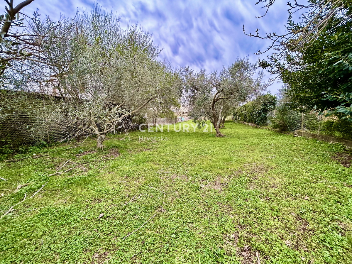 UMAG, TERRENO EDIFICABILE A SOLI 1,5 KM DAL MARE