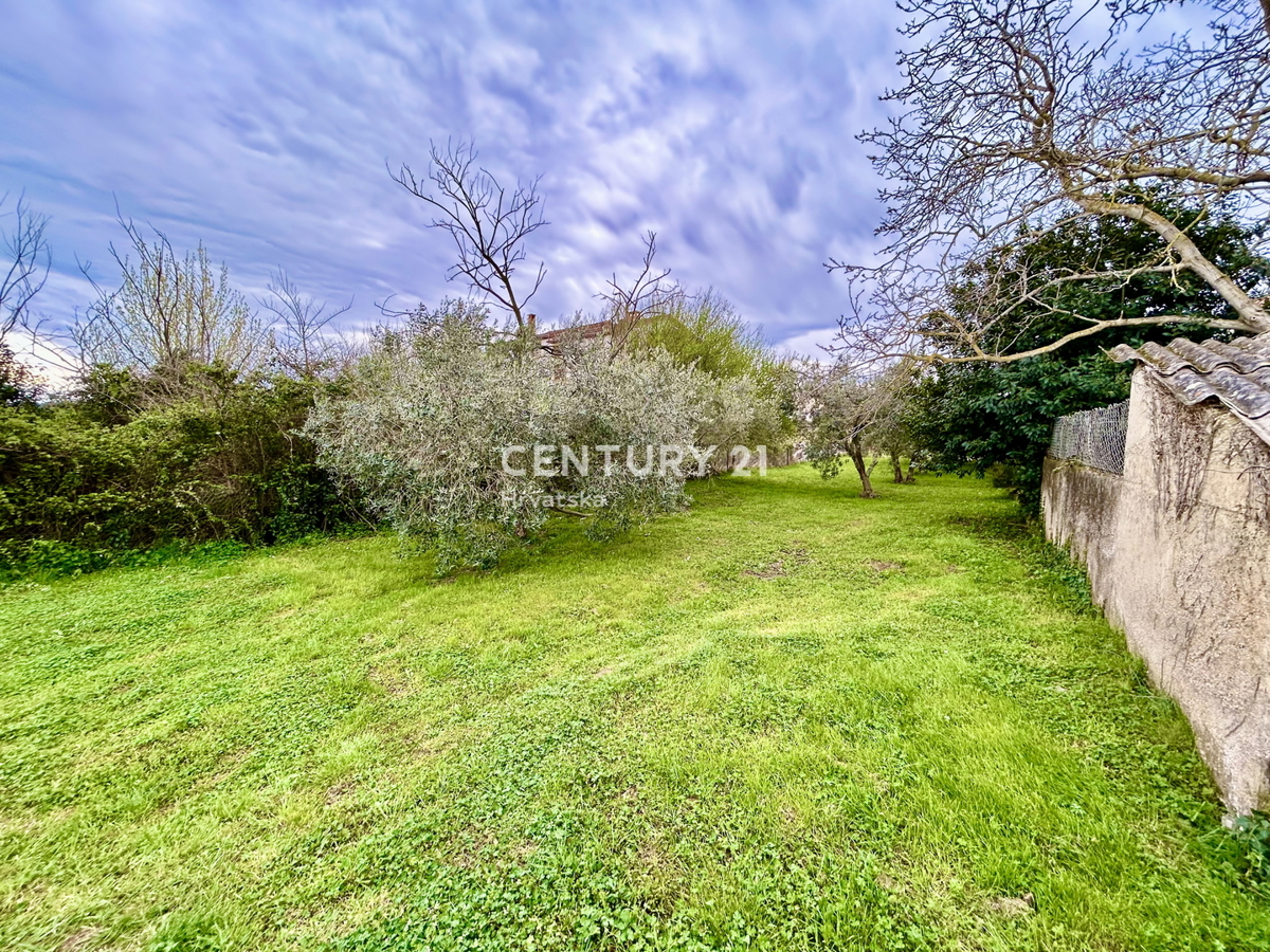 UMAG, TERRENO EDIFICABILE A SOLI 1,5 KM DAL MARE