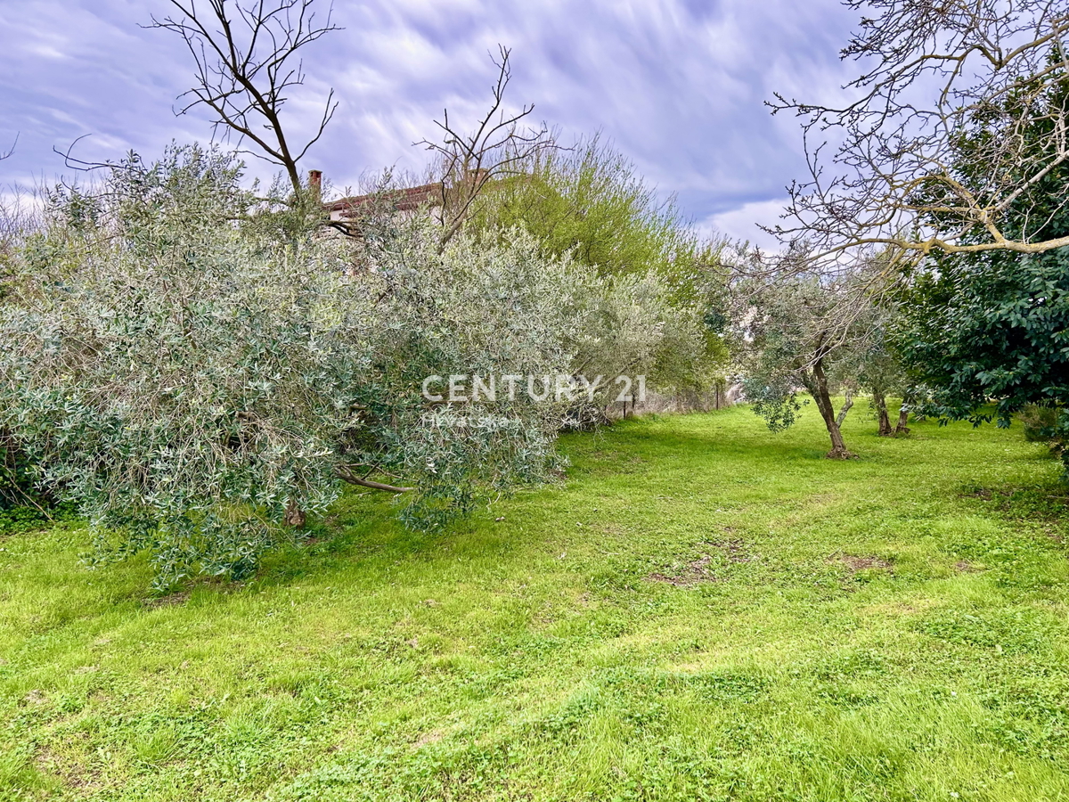 UMAG, TERRENO EDIFICABILE A SOLI 1,5 KM DAL MARE