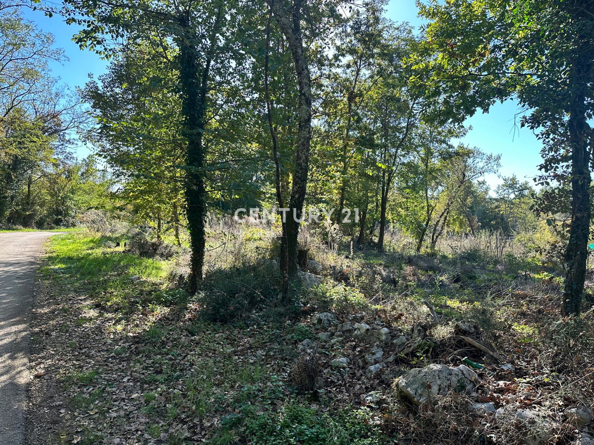 Vendita, Terreno, Edificabile, Provincia di Istria, Karojba