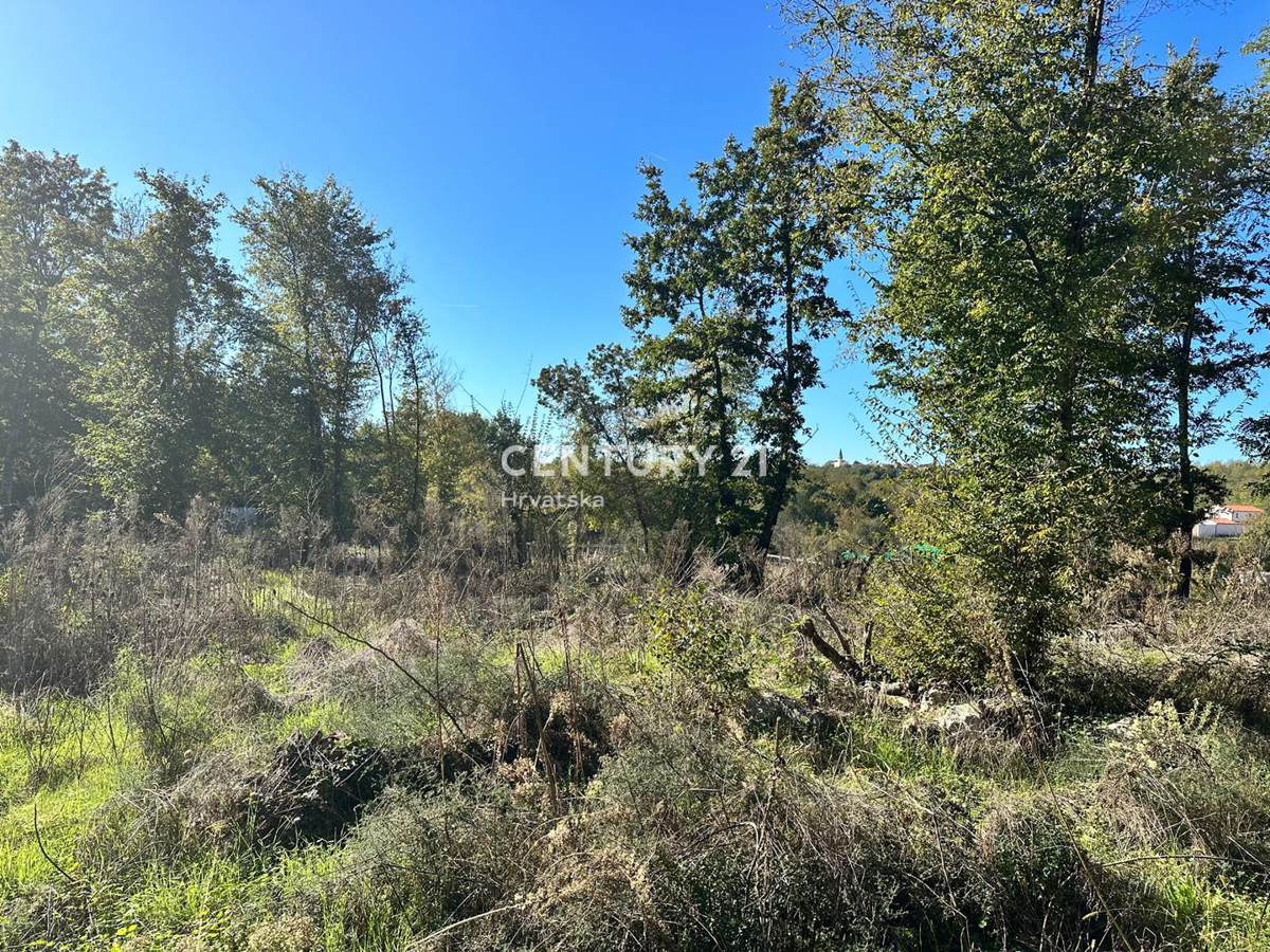 Vendita, Terreno, Edificabile, Provincia di Istria, Karojba