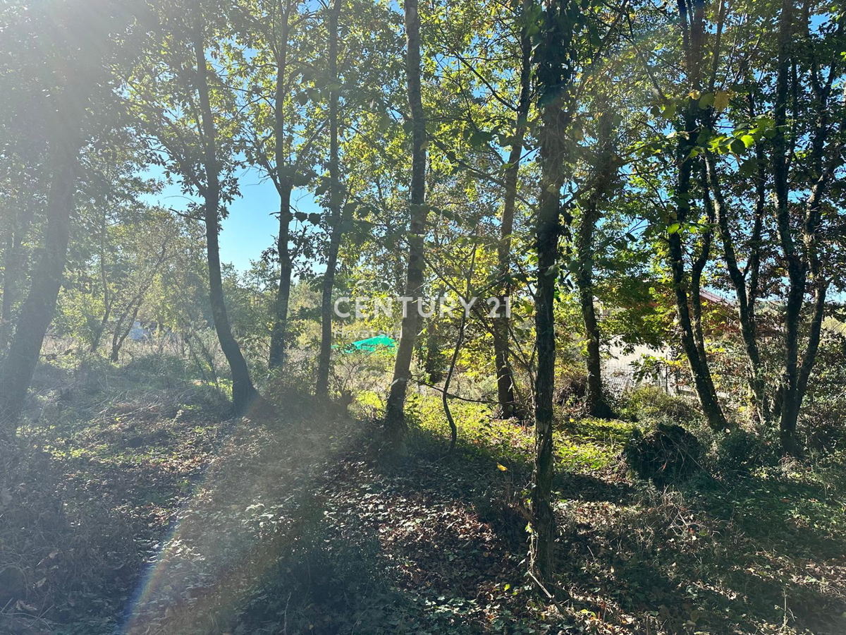 Vendita, Terreno, Edificabile, Provincia di Istria, Karojba