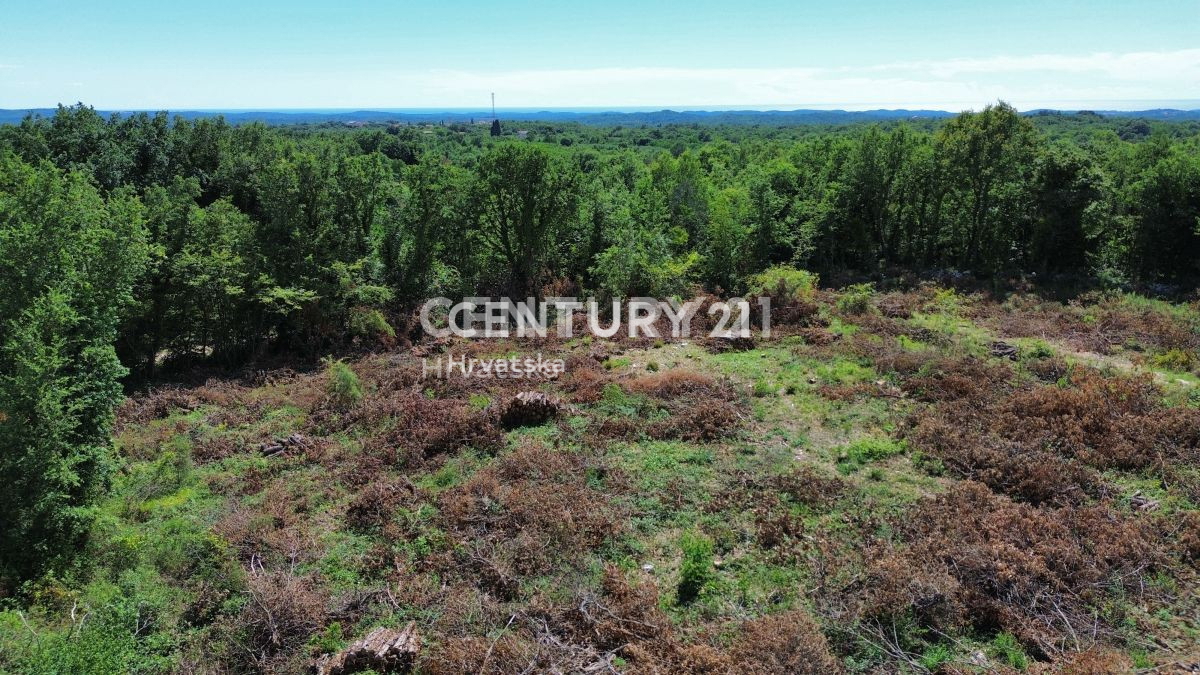 Vendita, Terreno, Edificabile, Istarska županija, Sveti Lovreč