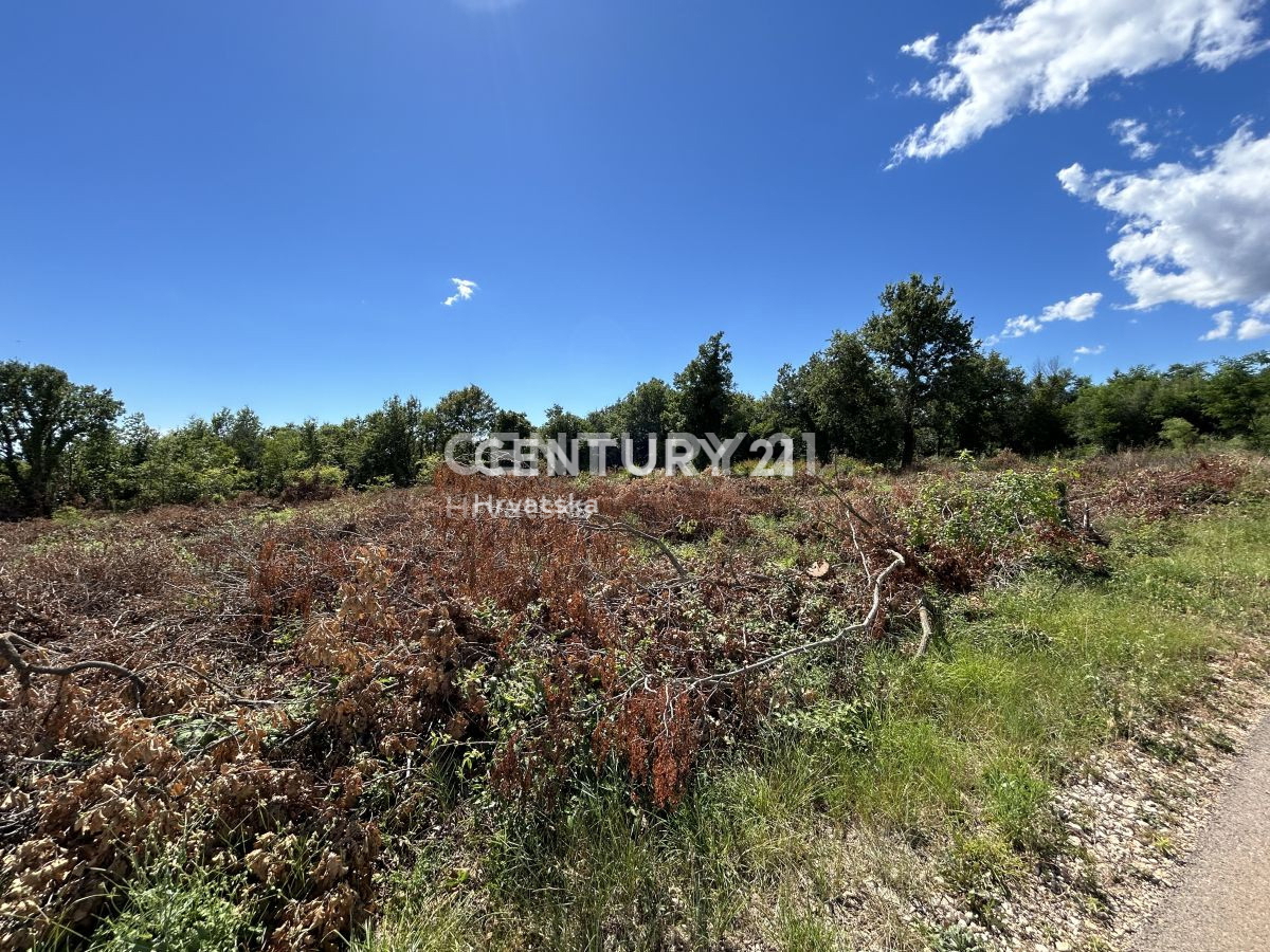 Vendita, Terreno, Edificabile, Istarska županija, Sveti Lovreč