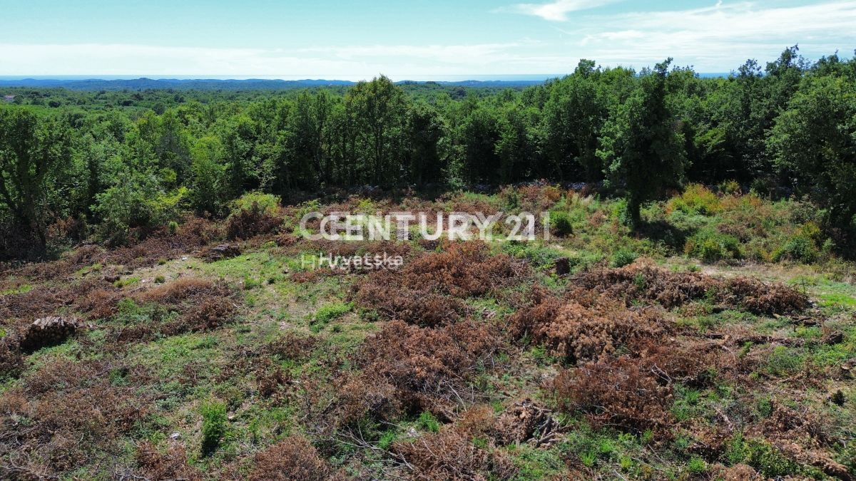 Vendita, Terreno, Edificabile, Istarska županija, Sveti Lovreč