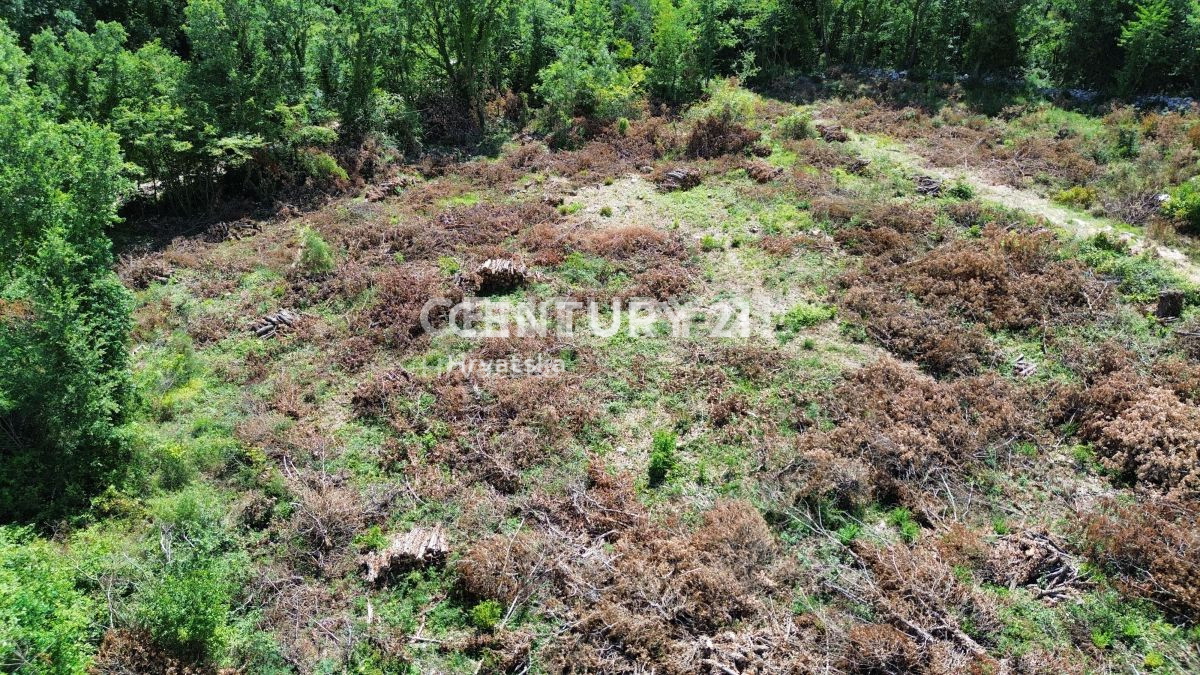 Vendita, Terreno, Edificabile, Istarska županija, Sveti Lovreč