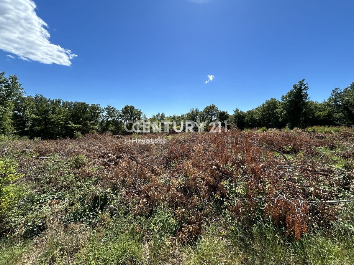 Vendita, Terreno, Edificabile, Istarska županija, Sveti Lovreč