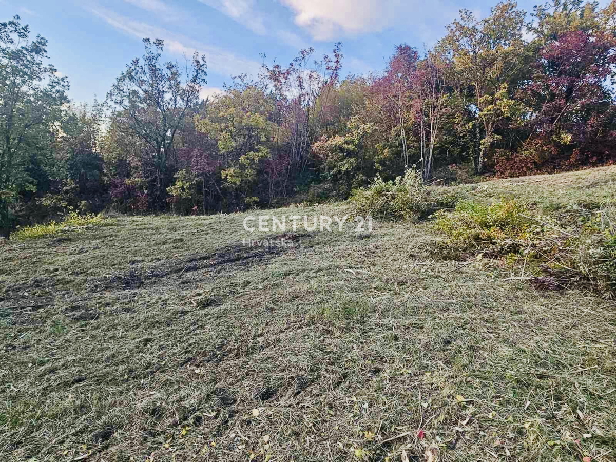 MOTOVUN, DINTORNI, TERRENO EDIFICABILE CON VISTA PANORAMICA
