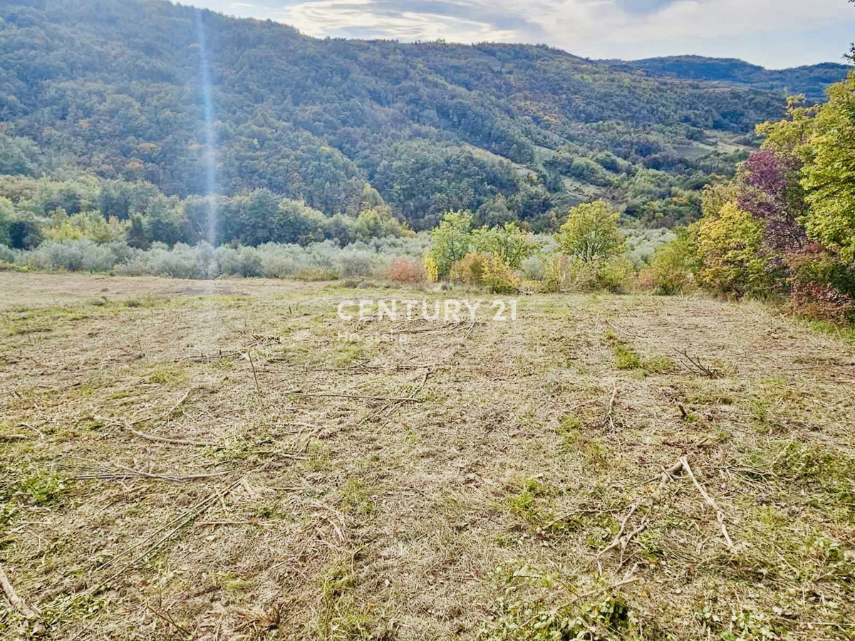 MOTOVUN, DINTORNI, TERRENO EDIFICABILE CON VISTA PANORAMICA