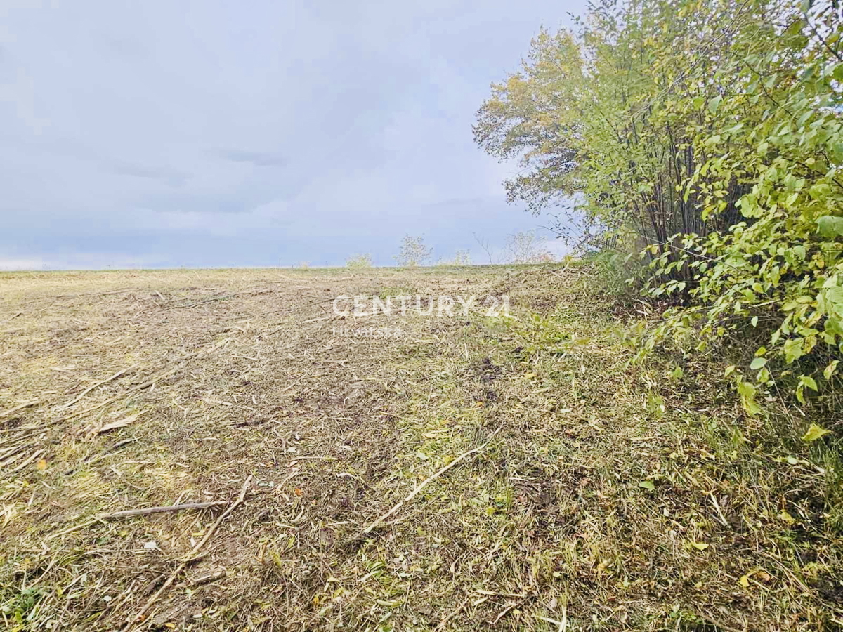 MOTOVUN, DINTORNI, TERRENO EDIFICABILE CON VISTA PANORAMICA