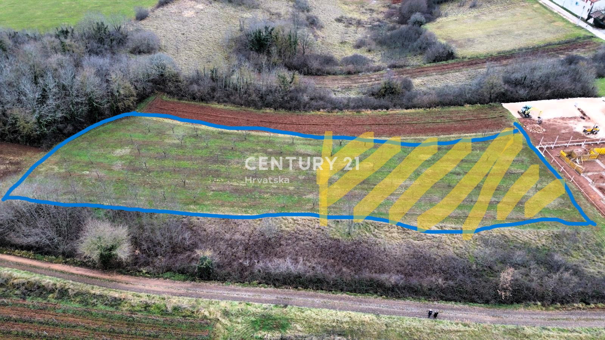 VIŽINADA, VENDITA DI TERRENO EDILIZIO E AGRICOLO