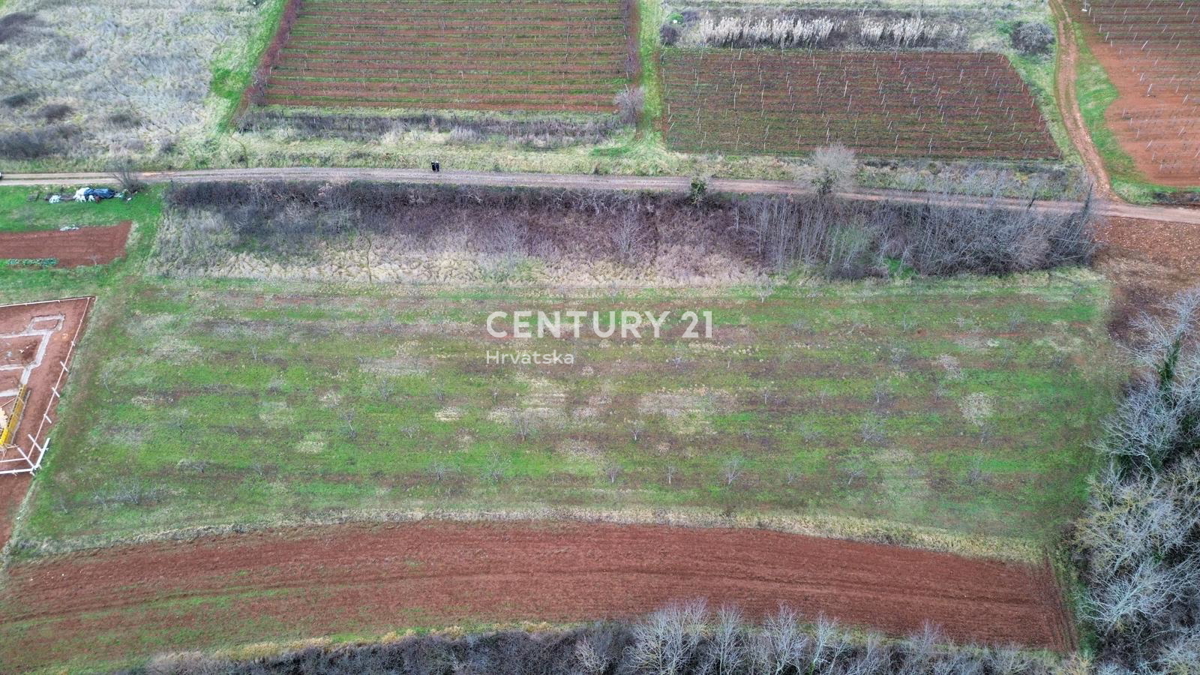 VIŽINADA, VENDITA DI TERRENO EDILIZIO E AGRICOLO