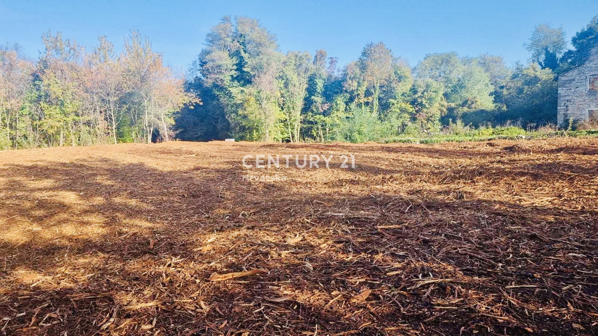 OPRTALJ, OKOLICA, ATRAKTIVNO GRAĐEVINSKO ZEMLJIŠTE