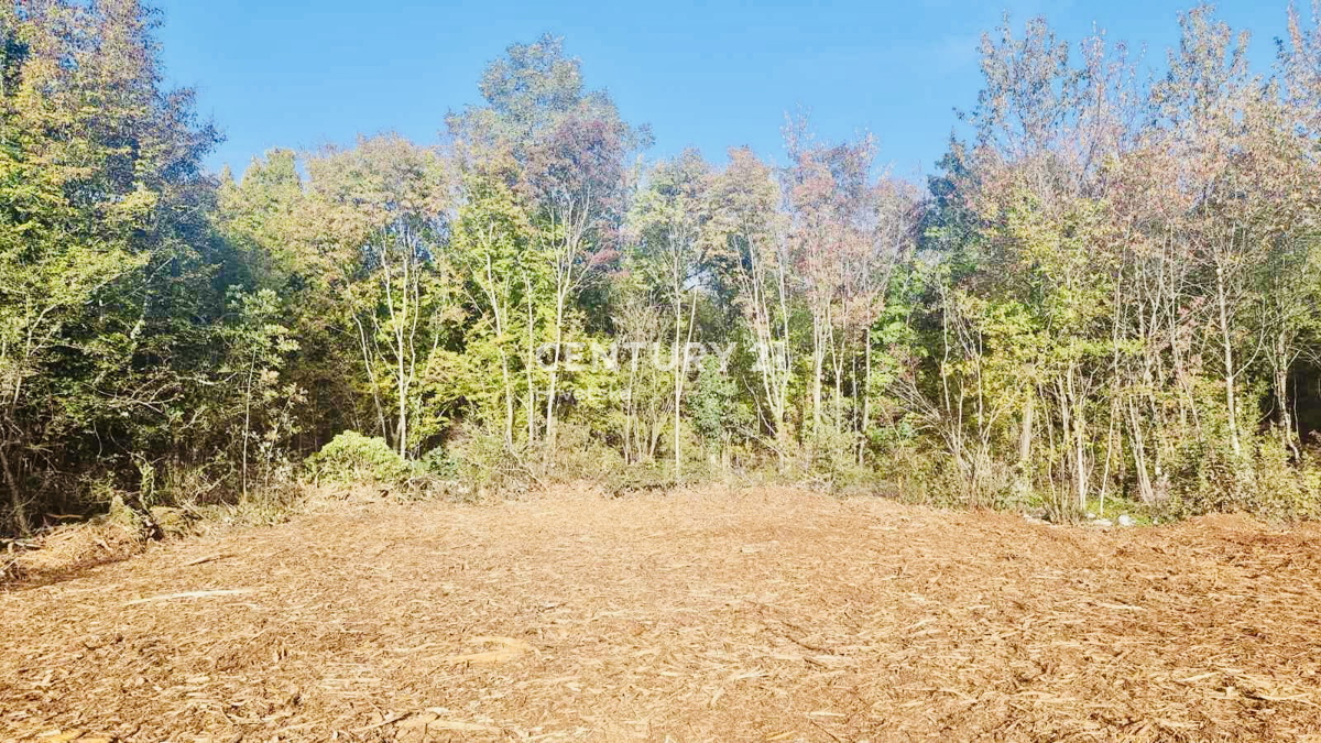 OPRTALJ, OKOLICA, ATRAKTIVNO GRAĐEVINSKO ZEMLJIŠTE