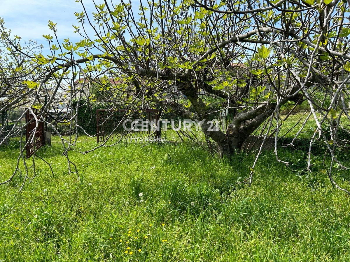 BUJE, MOMJAN, DINTORNI, CASA INDIPENDENTE IN PIETRA