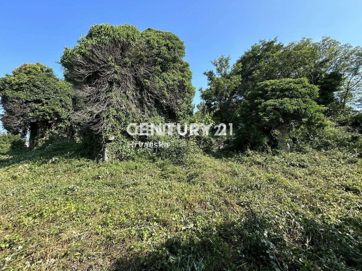 Vendita, Casa, Indipendente, Provincia di Istria, Buje