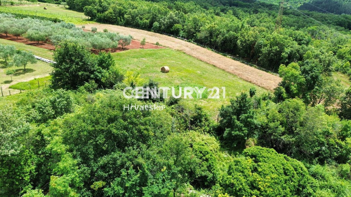 Vendita, Casa, Indipendente, Provincia di Istria, Buje