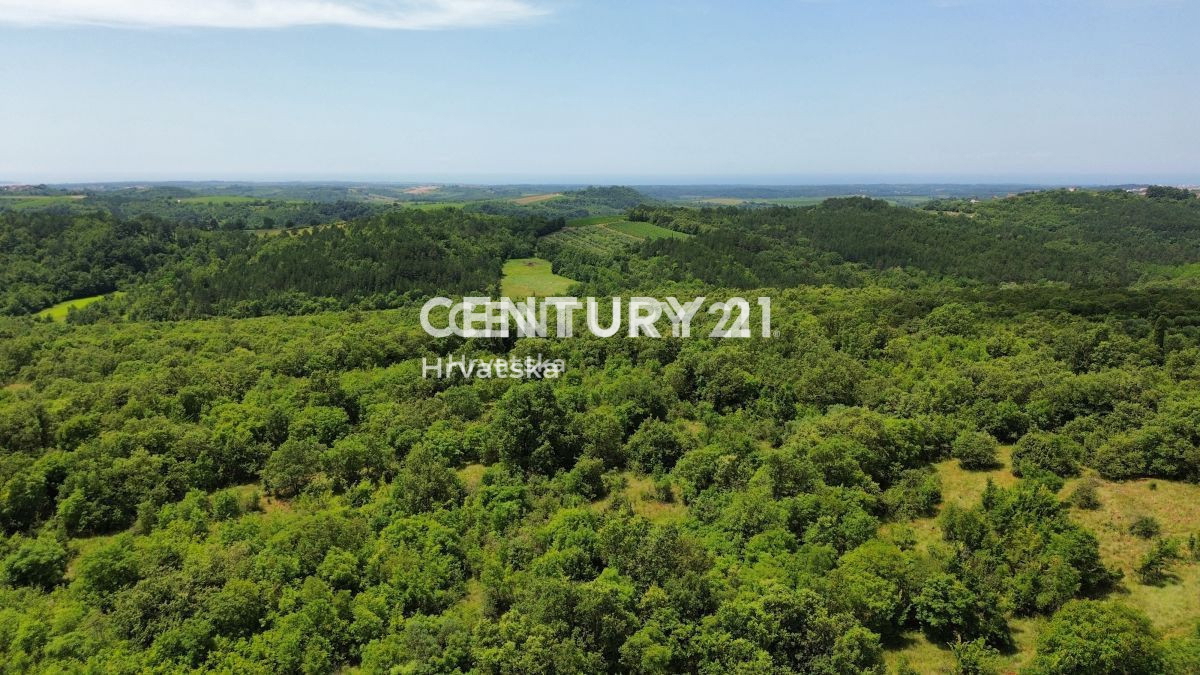 Vendita, Casa, Indipendente, Provincia di Istria, Buje