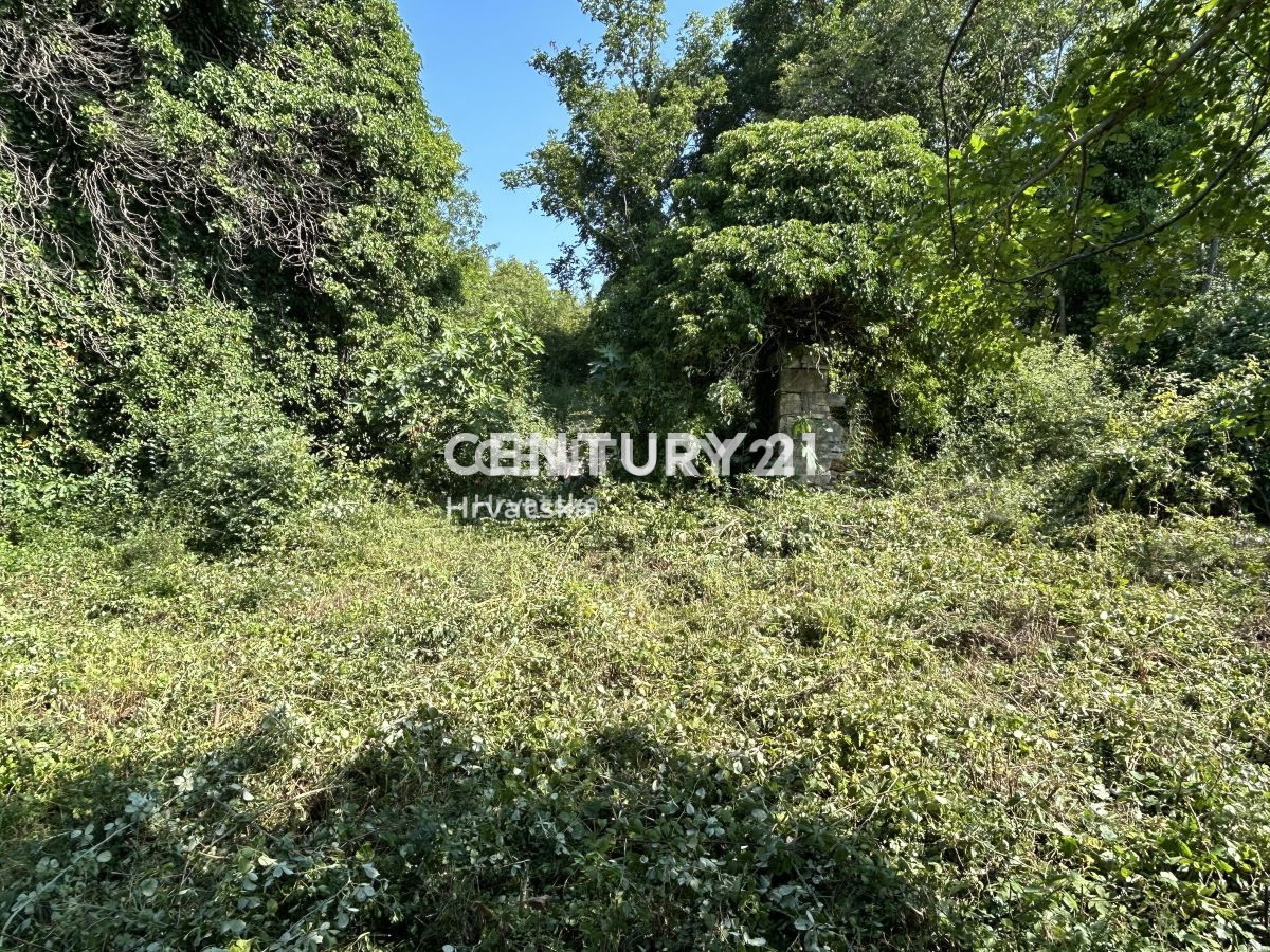 Vendita, Casa, Indipendente, Provincia di Istria, Buje