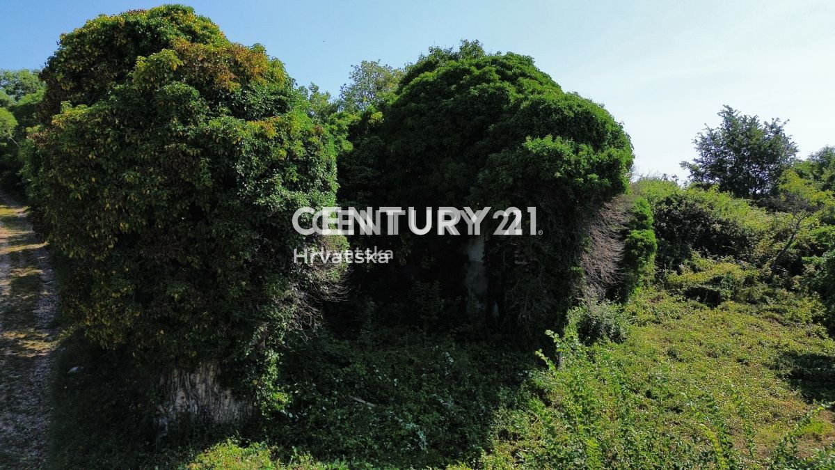 Vendita, Casa, Indipendente, Provincia di Istria, Buje