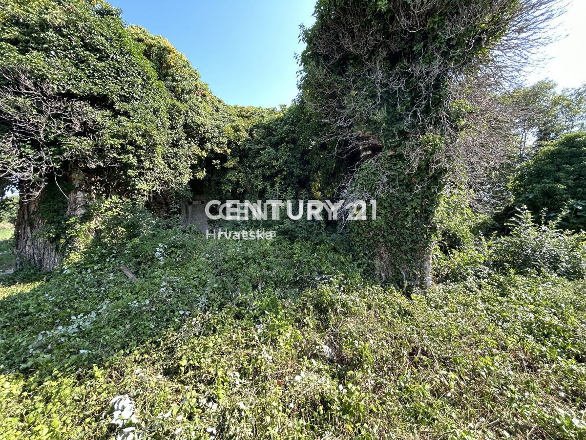 Vendita, Casa, Indipendente, Provincia di Istria, Buje