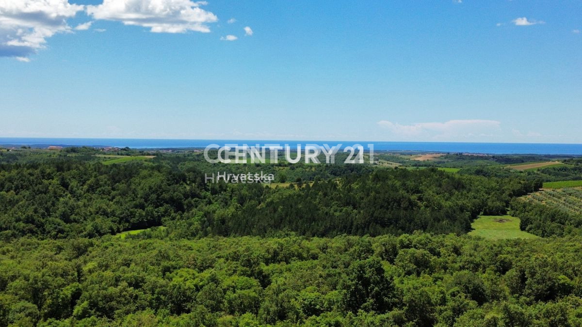 Vendita, Casa, Indipendente, Provincia di Istria, Buje