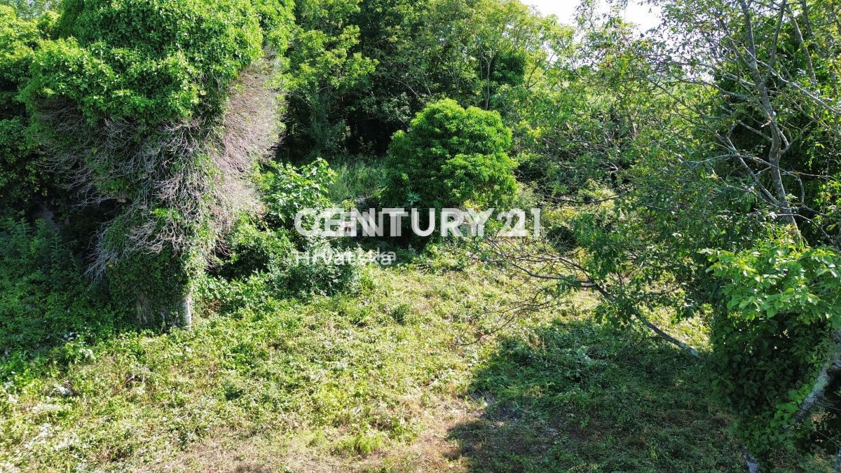 Vendita, Casa, Indipendente, Provincia di Istria, Buje