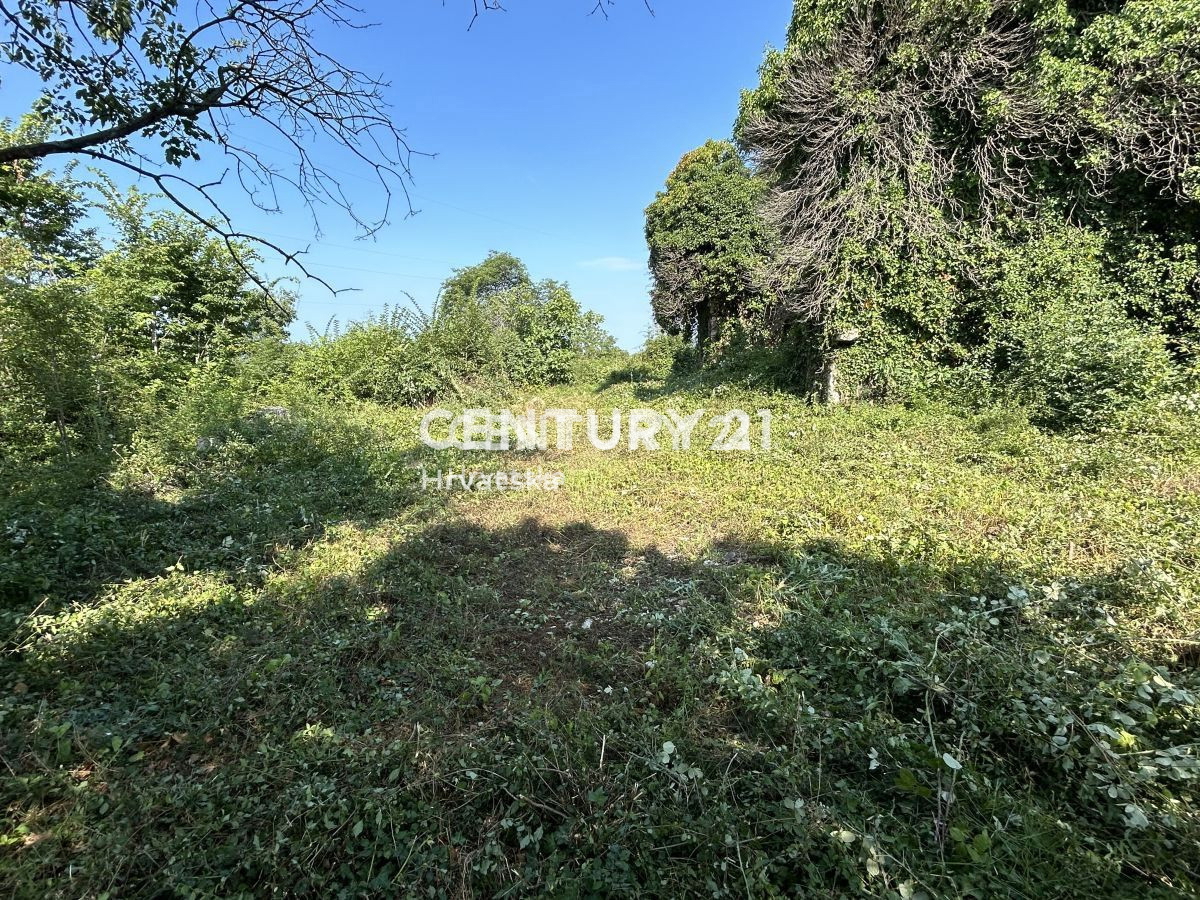 Vendita, Casa, Indipendente, Provincia di Istria, Buje