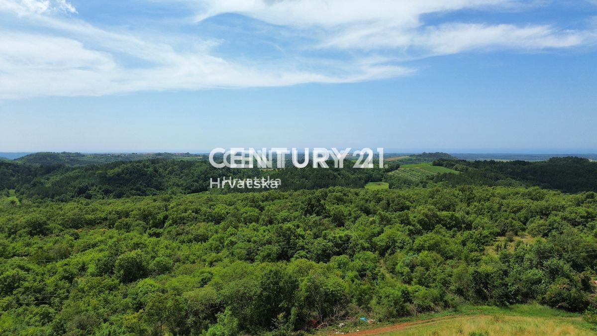 Vendita, Casa, Indipendente, Provincia di Istria, Buje