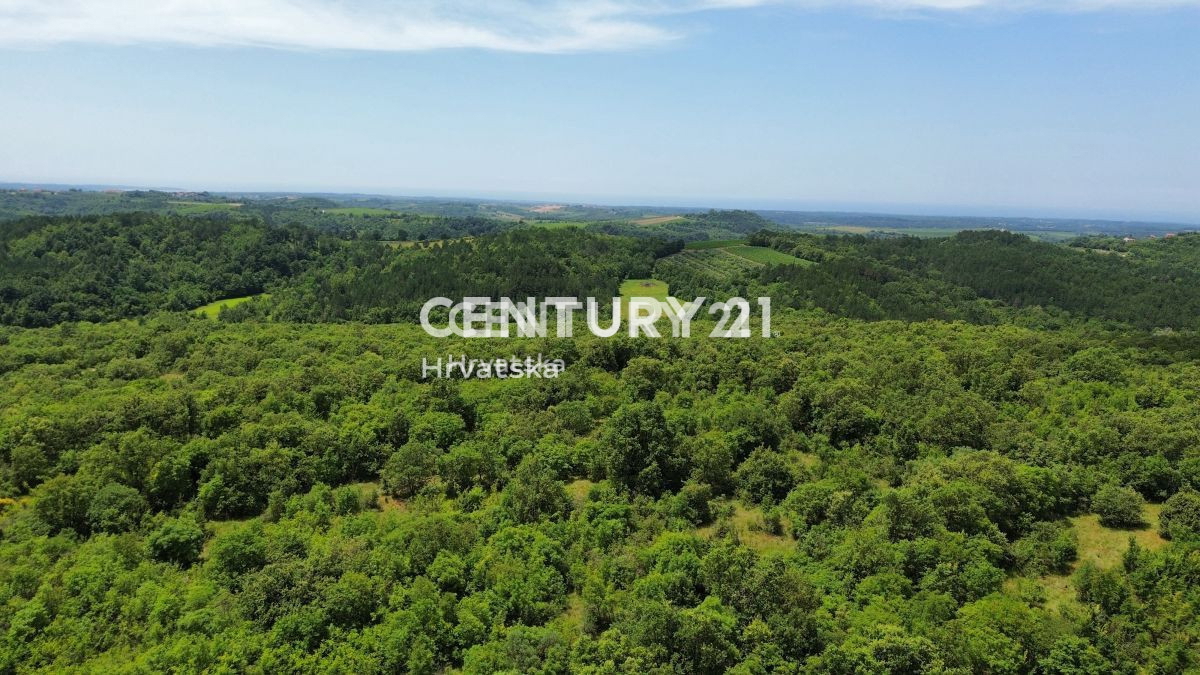 Vendita, Casa, Indipendente, Provincia di Istria, Buje