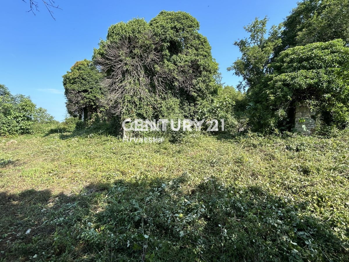 Vendita, Casa, Indipendente, Provincia di Istria, Buje