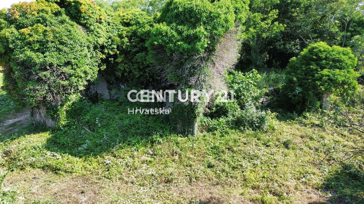 Vendita, Casa, Indipendente, Provincia di Istria, Buje