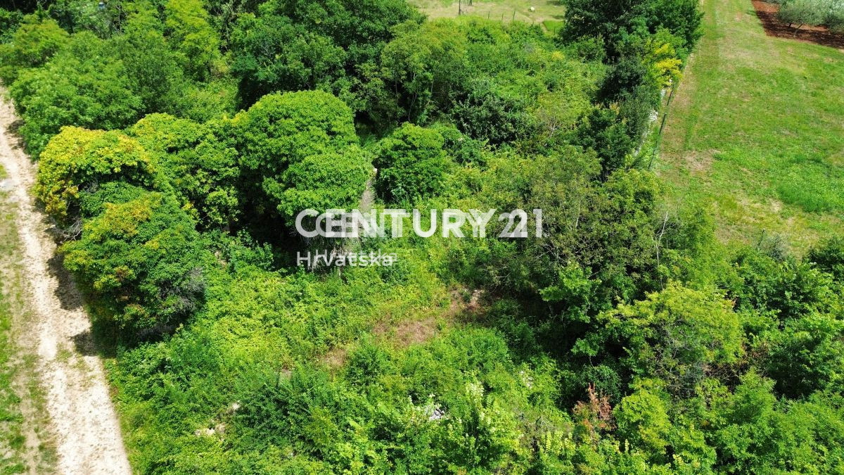 Vendita, Casa, Indipendente, Provincia di Istria, Buje