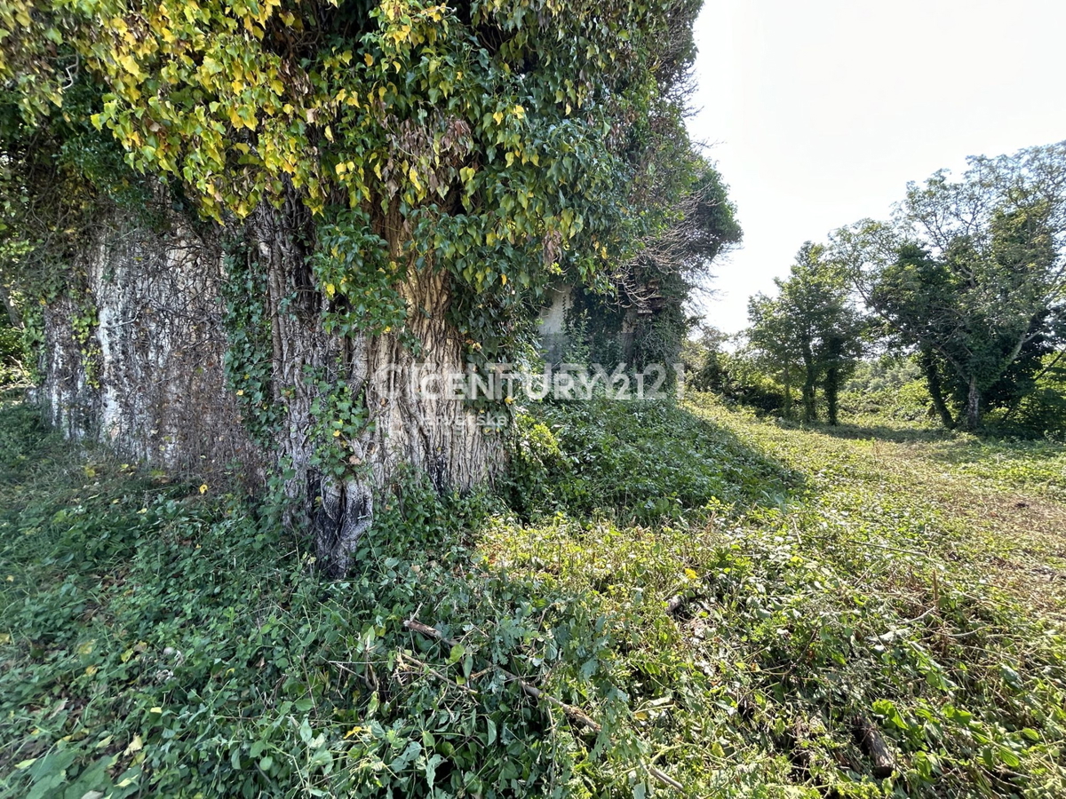 Vendita, Casa, Indipendente, Provincia di Istria, Buje