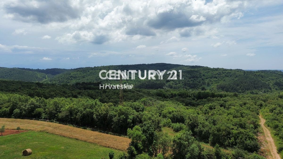 Vendita, Casa, Indipendente, Provincia di Istria, Buje