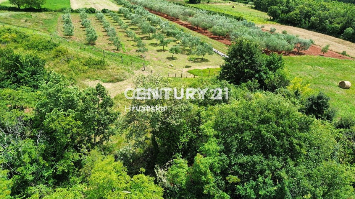 Vendita, Casa, Indipendente, Provincia di Istria, Buje