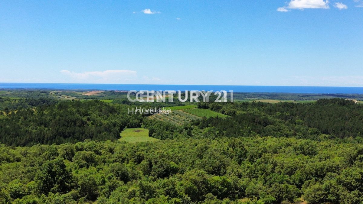 Vendita, Casa, Indipendente, Provincia di Istria, Buje