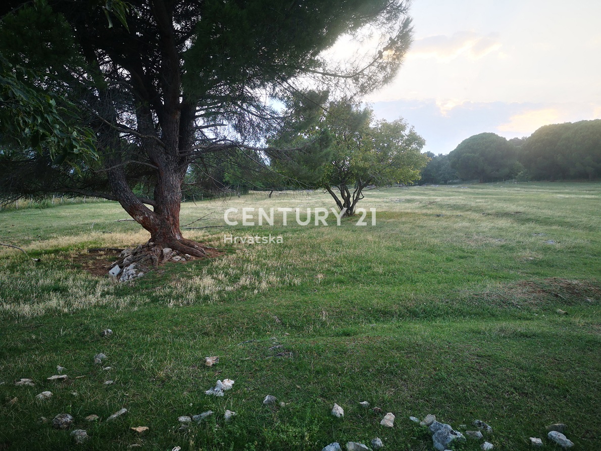 LABIN, CASA MODERNA CON ELEMENTI ISTRIANI, CIRCONDATA DA VERDE E TRANQUILLITÀ