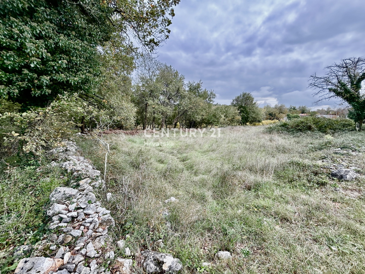 SVETI LOVREČ, DINTORNI, OCCASIONE, OTTIMO TERRENO EDIFICABILE