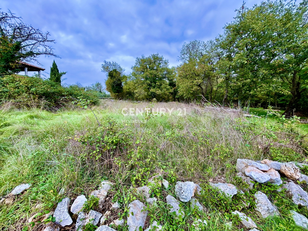 SVETI LOVREČ, DINTORNI, OCCASIONE, OTTIMO TERRENO EDIFICABILE