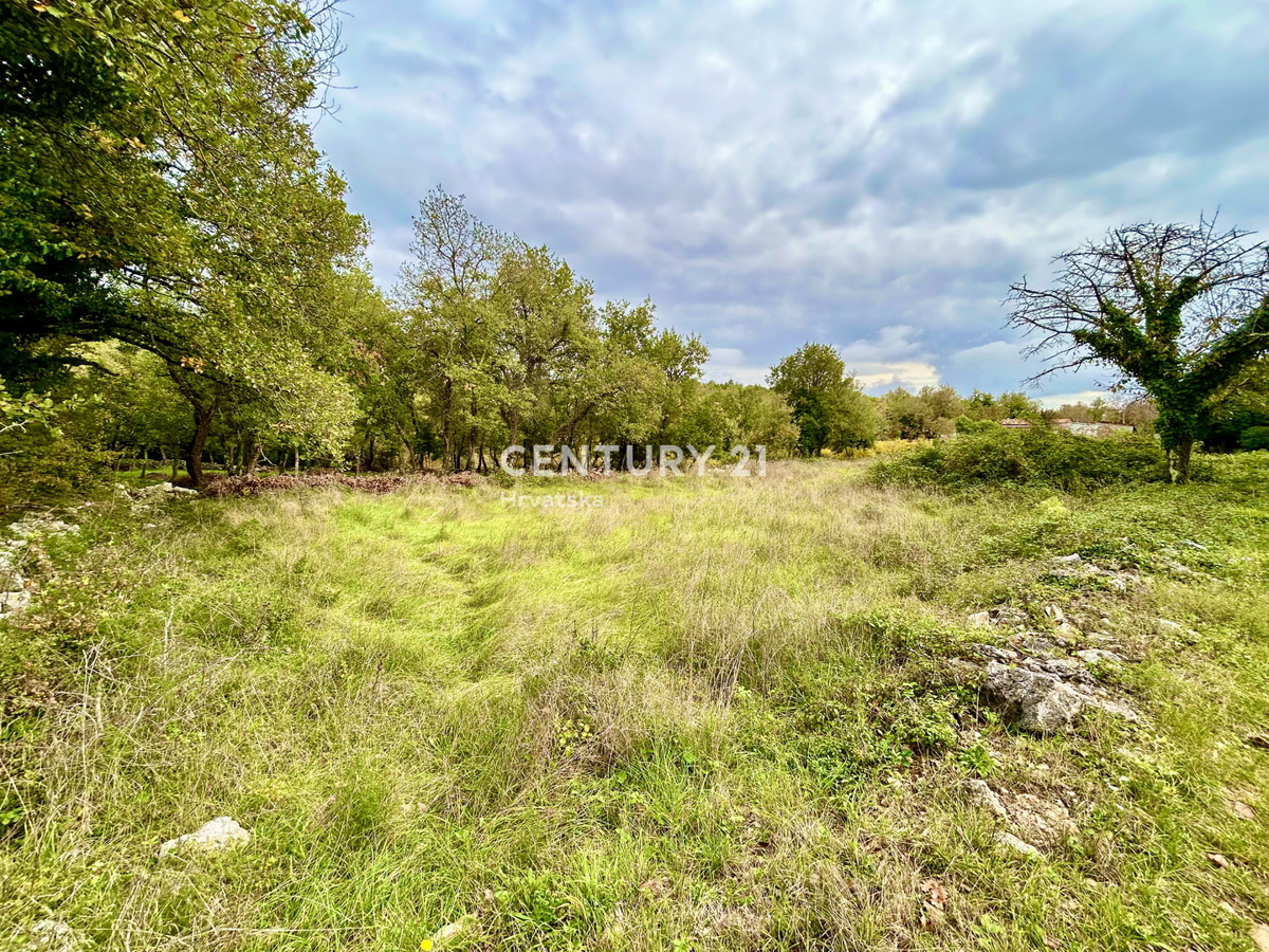 SVETI LOVREČ, DINTORNI, OCCASIONE, OTTIMO TERRENO EDIFICABILE