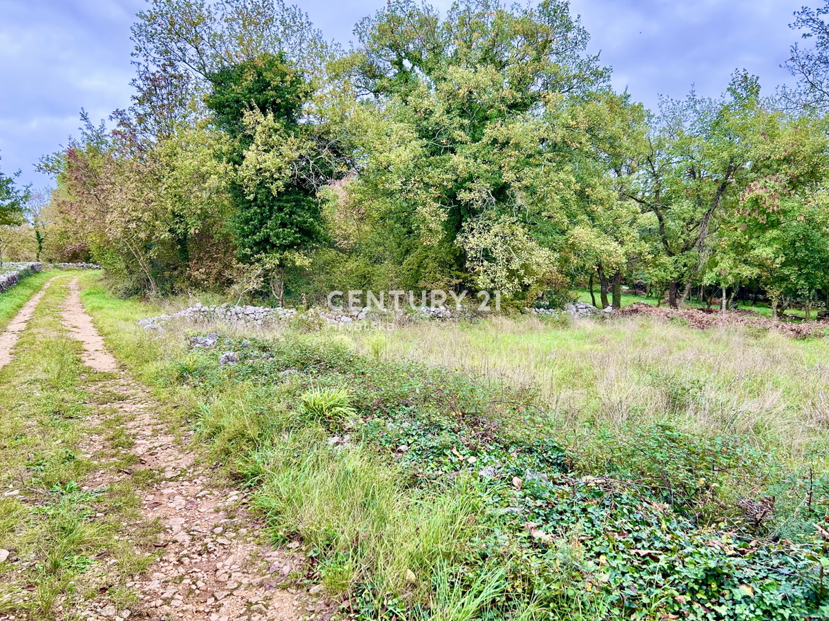 SVETI LOVREČ, DINTORNI, OCCASIONE, OTTIMO TERRENO EDIFICABILE