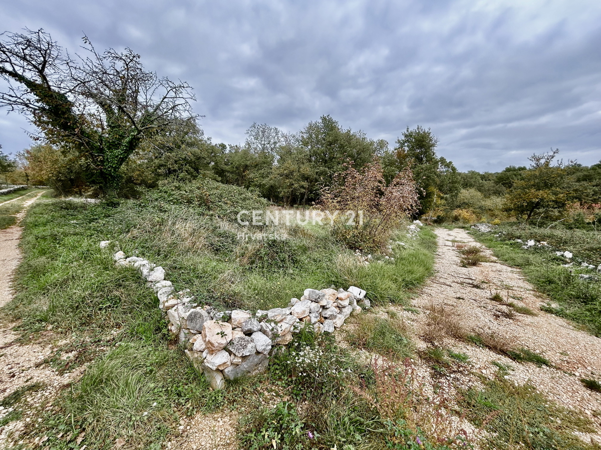 SVETI LOVREČ, DINTORNI, OCCASIONE, OTTIMO TERRENO EDIFICABILE