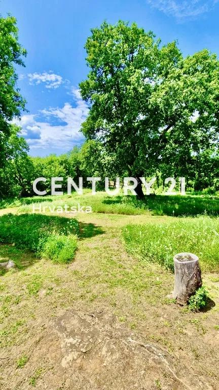 VRSAR, VILLA IN PIETRA CON PISCINA