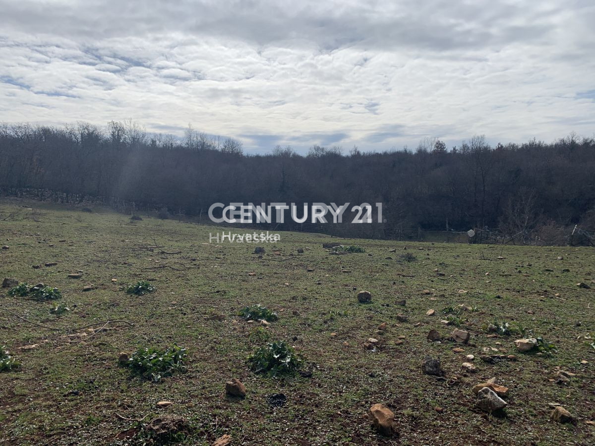 Vendita, Terreno, Edificabile, Istarska županija, Višnjan, Radoši kod Višnjana