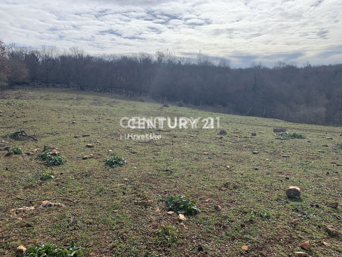 Vendita, Terreno, Edificabile, Istarska županija, Višnjan, Radoši kod Višnjana