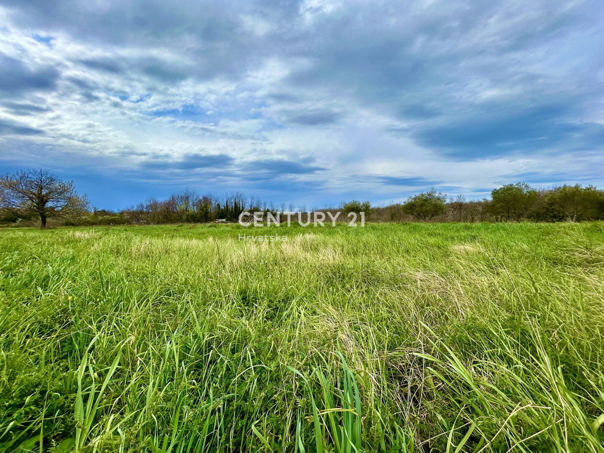 UMAG, TERRENO EDIFICABILE A SOLI 1,5 KM DAL MARE