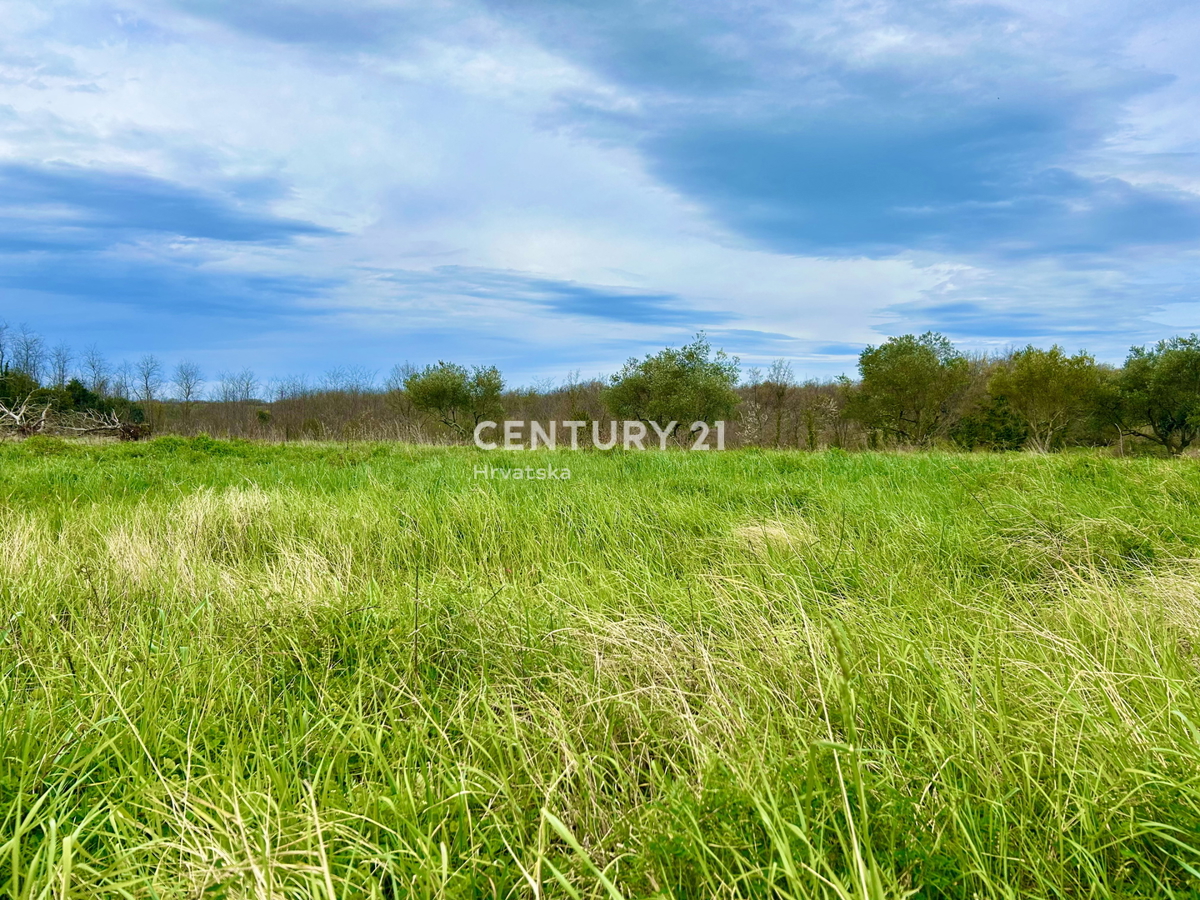 UMAG, TERRENO EDIFICABILE A SOLI 1,5 KM DAL MARE