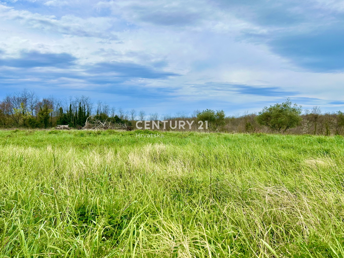 UMAG, TERRENO EDIFICABILE A SOLI 1,5 KM DAL MARE